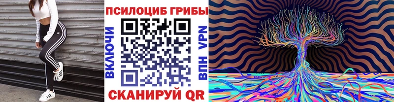 Купить где  Рыбинск  Псилоцибиновые грибы Magic Shrooms 