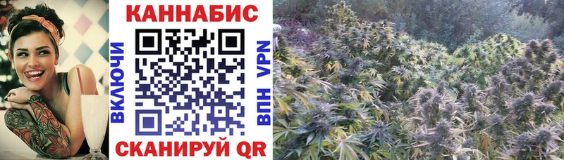 Бошки Шишки SATIVA & INDICA  Купить где  Рыбинск 